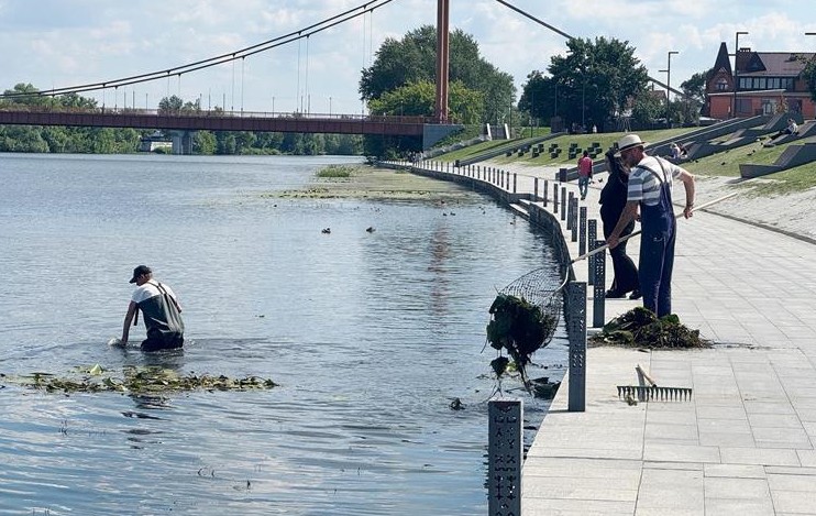 Набережную Суры в Пензе очищают от водорослей