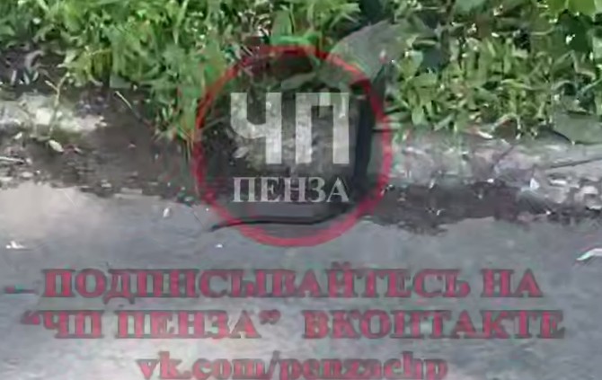 Жители Пензы все чаще встречают змей в городе: пресмыкающееся увидели в центре