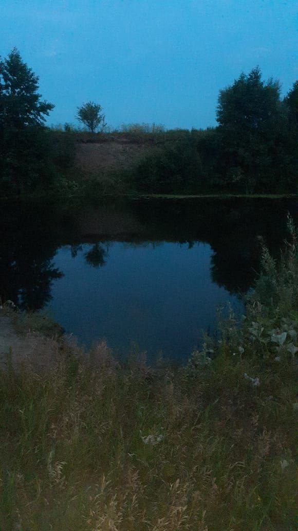 Следователи: Мужчина, утонувший в Наровчатском районе, был пьян