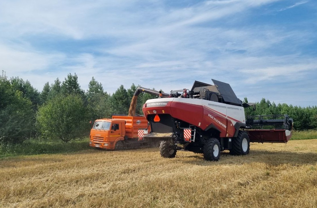 В Пензенской области ожидают рекордный урожай зерновых