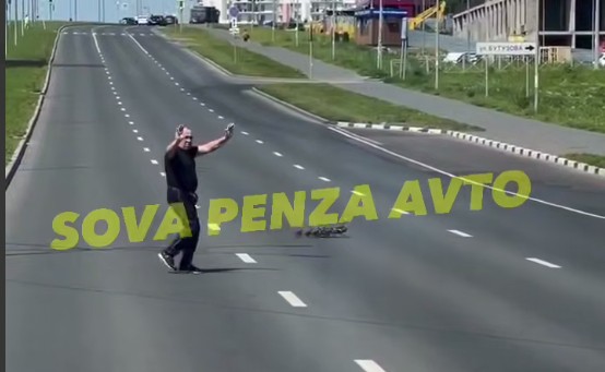 Пензенец помог утке с утятами перейти дорогу