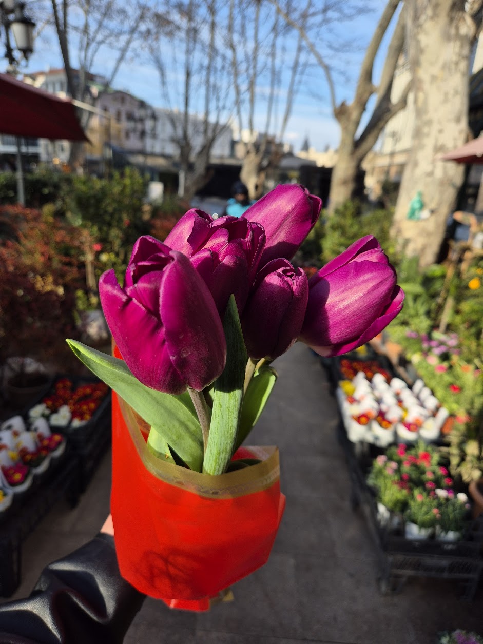 От 555 рублей: сколько стоят цветы в Пензе и почему стоит ждать подорожания