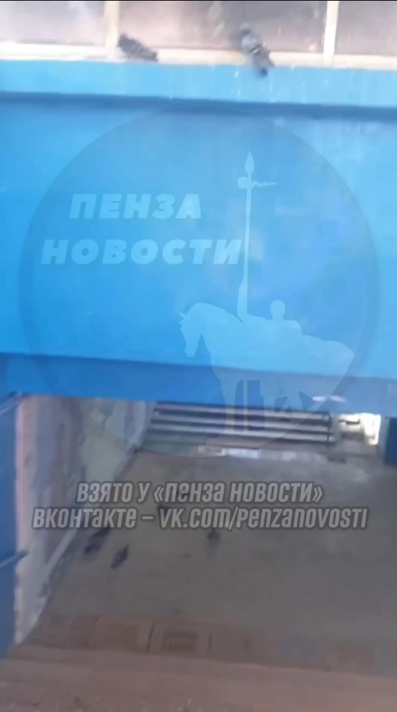 Сплошная антисанитария: в Пензе голуби оккупировали подземный переход