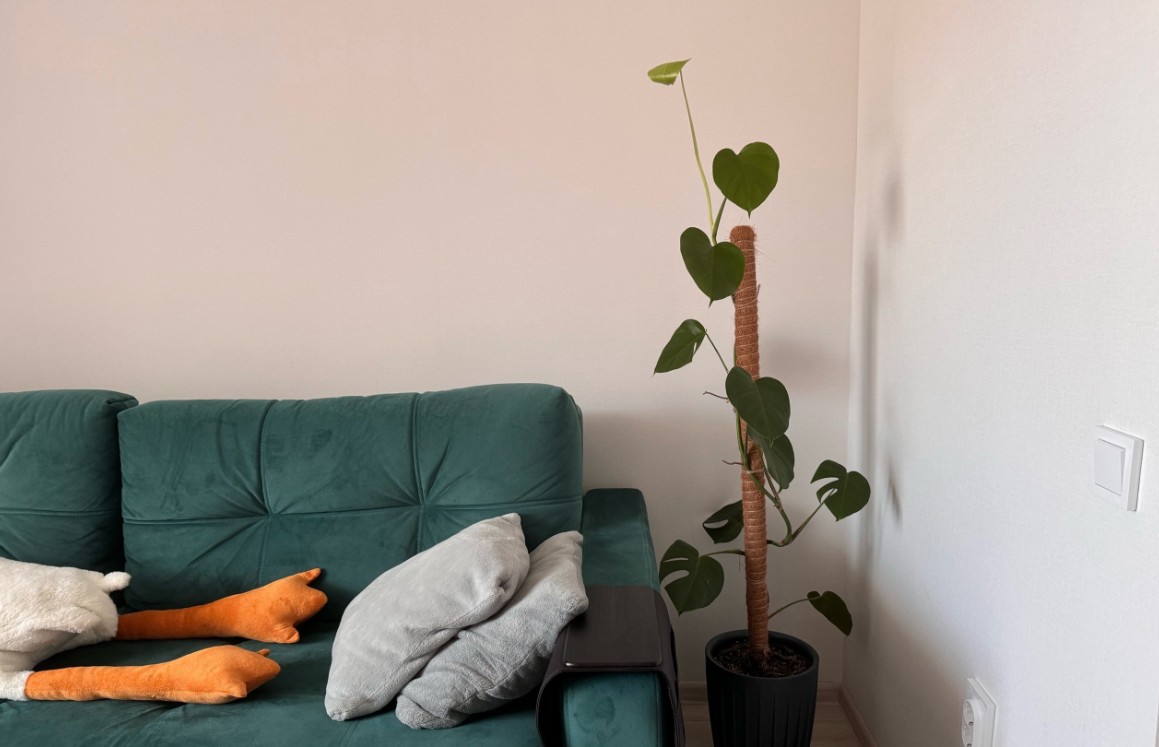 Пензенцам рассказали, где укрыться в квартире при воздушной тревоге