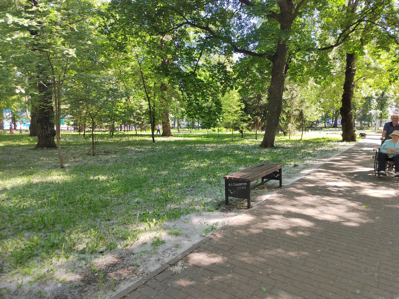 Пензенцев просят прийти на Олимпийскую аллею в футболках в цветах триколора