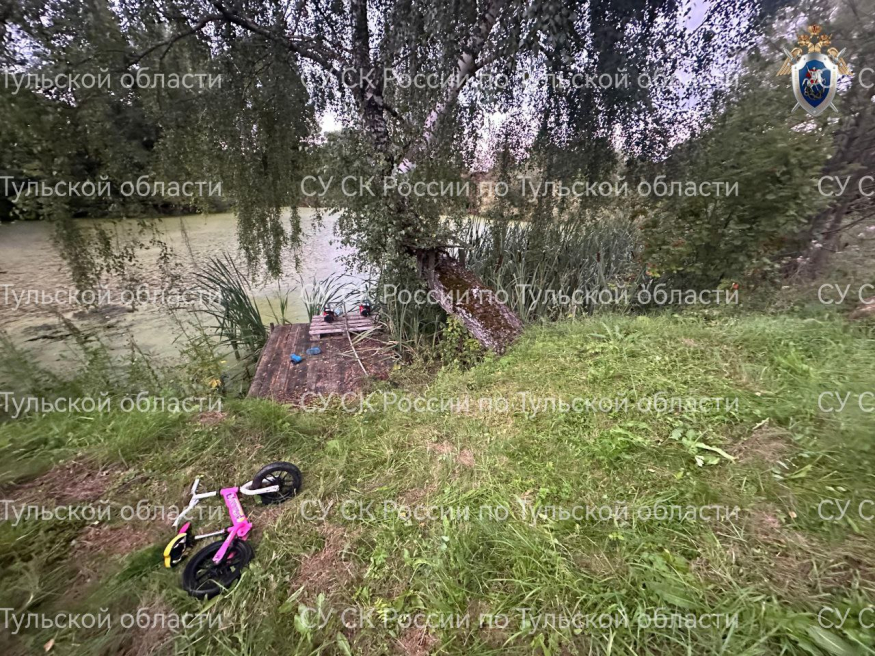 Трагедия в Тульской области: найдено тело пропавшего четырехлетнего мальчика
