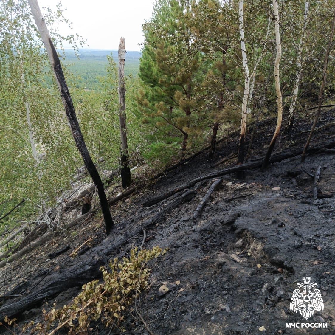 В Кузнецком районе потушили лесной пожар площадью 0,03 гектара
