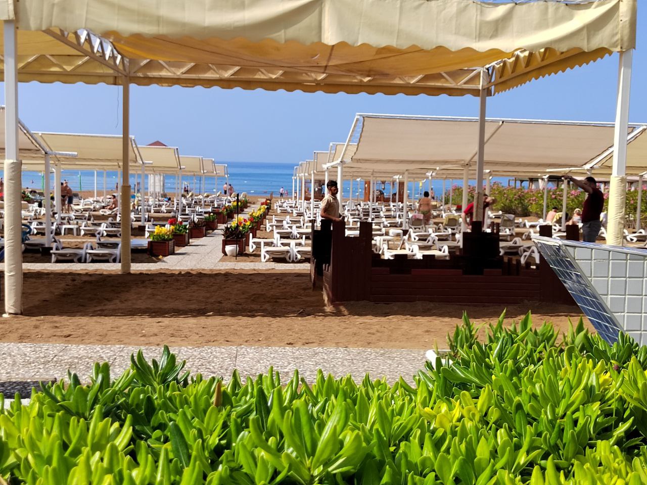 В Абхазии туристов атакуют комары с наступлением ночи