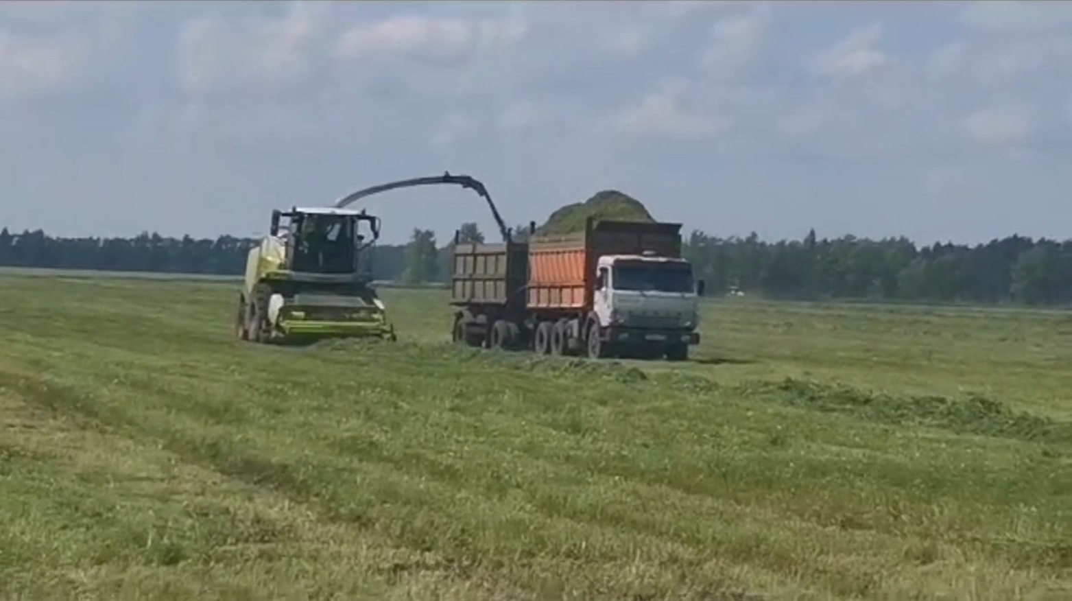 Несмотря на погоду: в Сердобском районе идет активная заготовка кормов