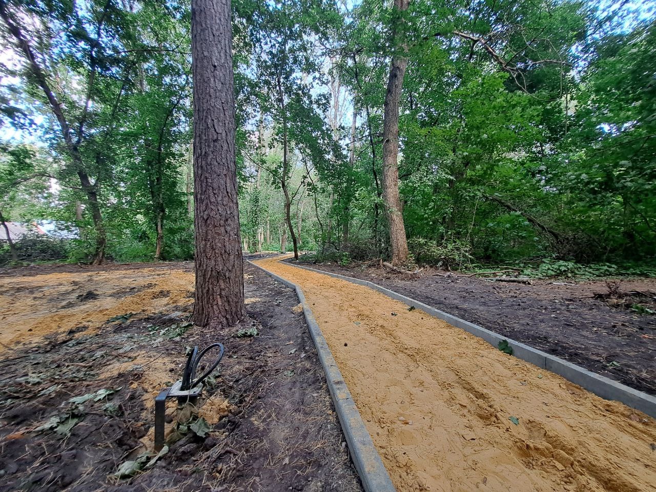 Уложили бордюры и кабель: как сегодня идут работы в сердобском «Сосновом бору»
