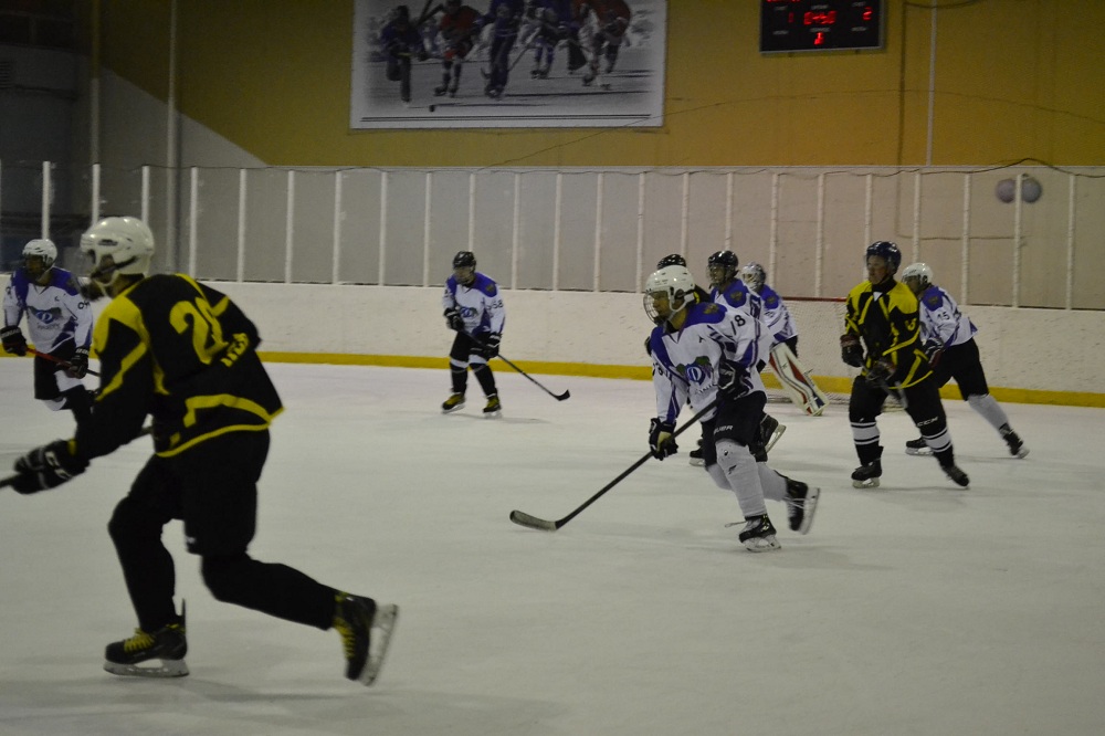 В Пензе на охрану хоккейных матчей выделят 739 тысяч рублей