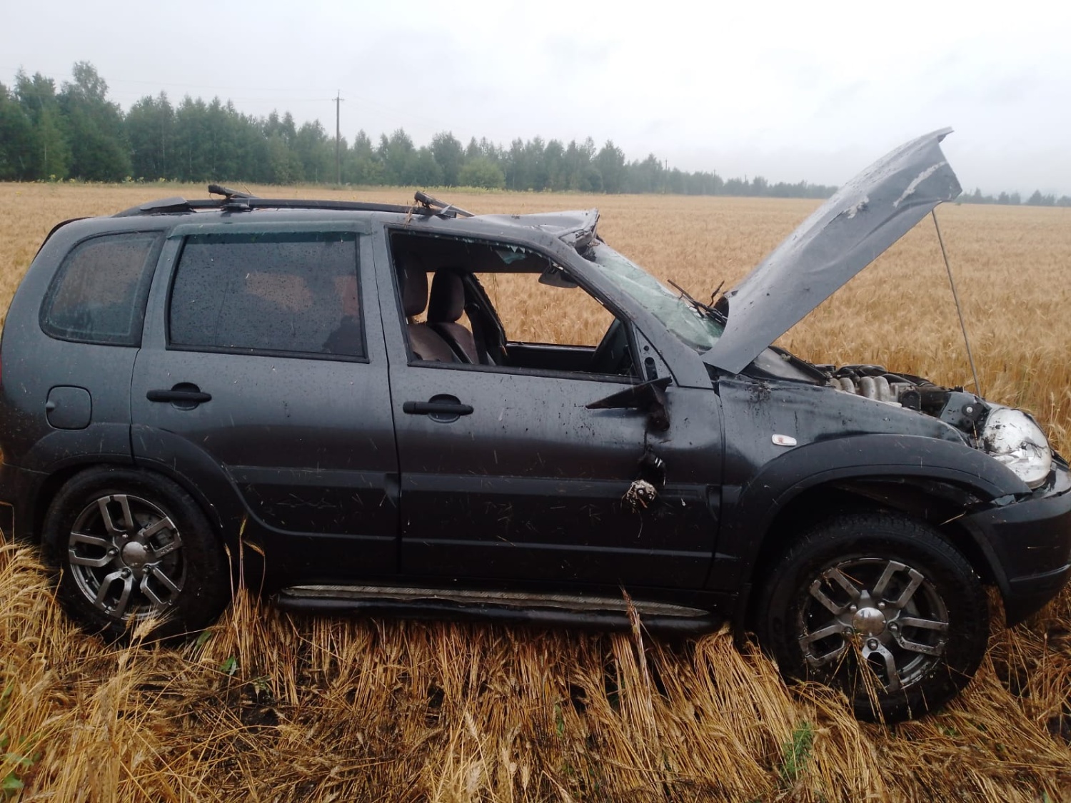 Трагедия на М5: водитель погиб в опрокинувшейся «Ниве»