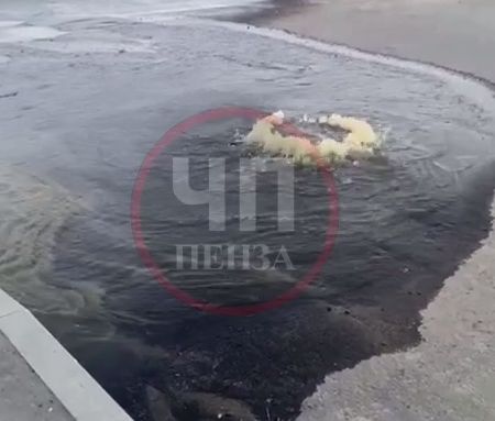 Пензенский пруд превращается в сточную канаву: жители бьют тревогу