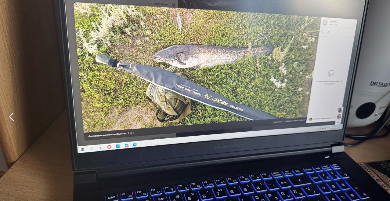 Шестикилограммовый сом стал трофеем пензенского рыбака