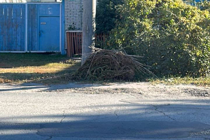 Борьба за чистоту в Кузнецке: 34 предписания было выдано за неделю