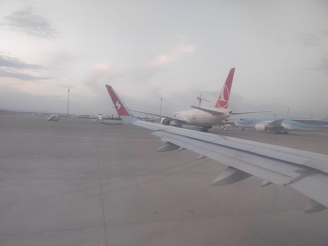 Открытие аэропорта оживило Геленджик: спрос на туры вырос, но авиабилеты дорогие