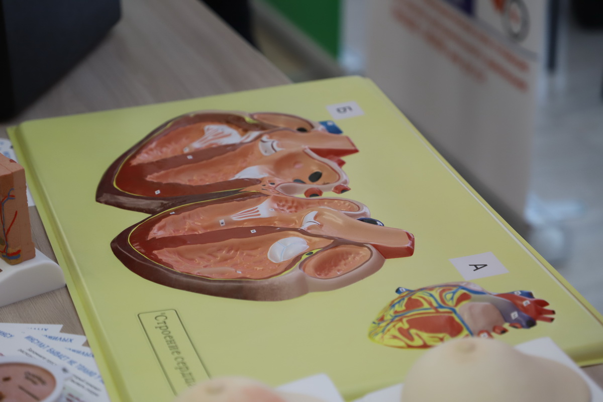 Пензенский нарколог Тактаева: алкоголь приводит к симптому бычьего сердца