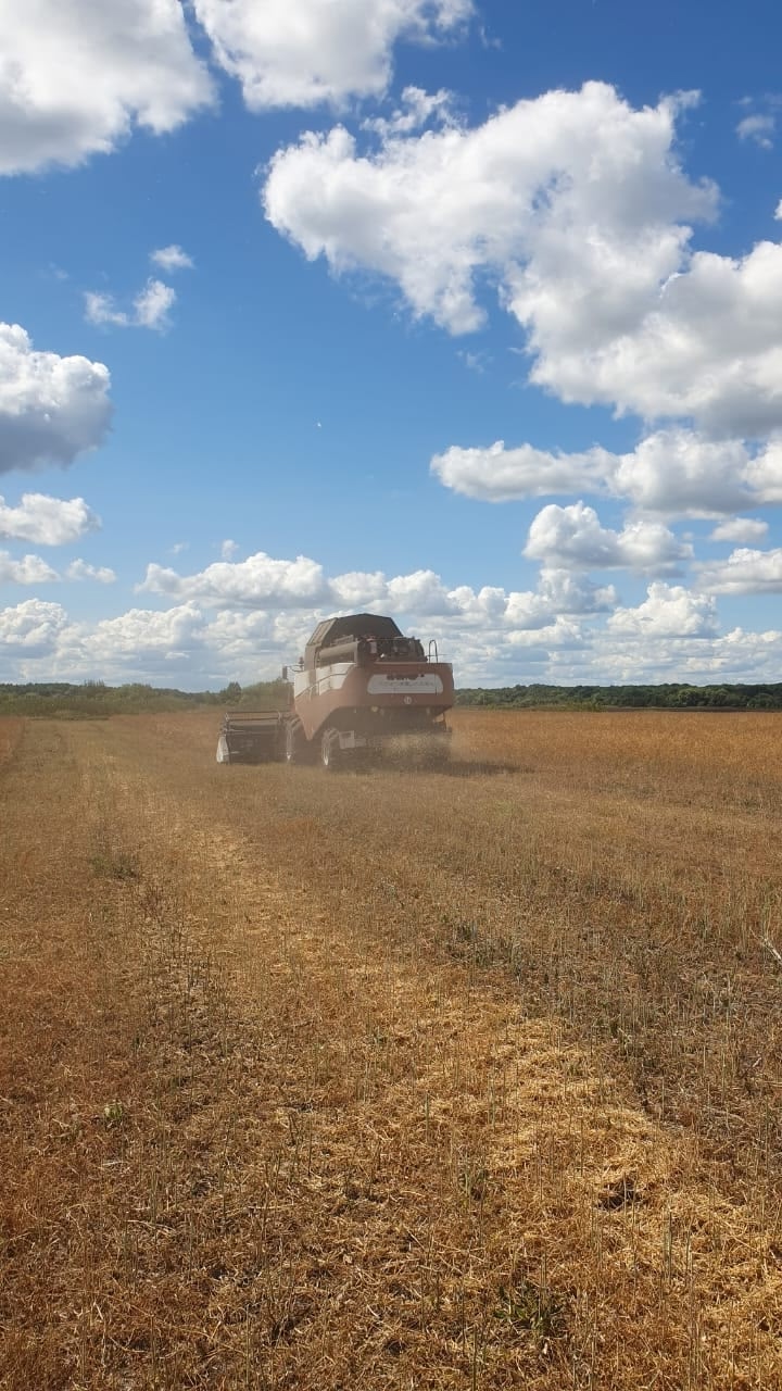 В Сердобском районе собрали более 118 тысяч тонн зерна