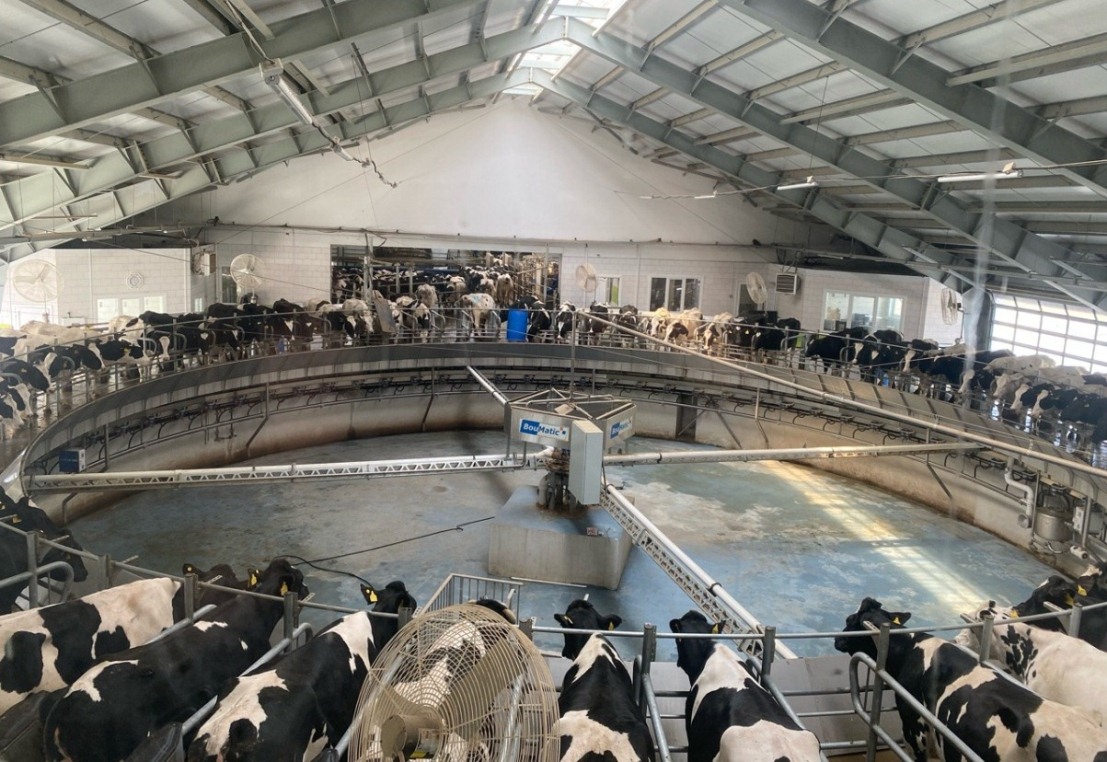 Пензенский АПК получил свыше миллиарда господдержки