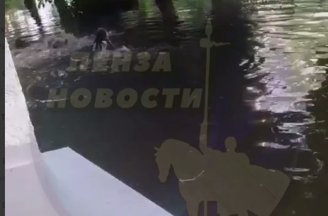 Соцсети: Пензенские дети устроили заплыв по затопленной улице