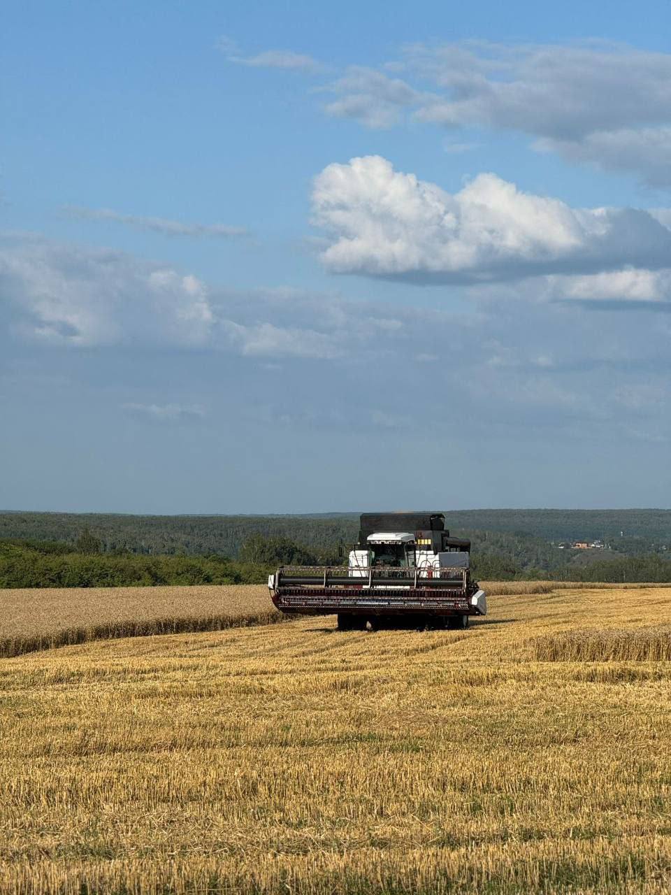 Пензенская область собрала первый миллион тонн зерна