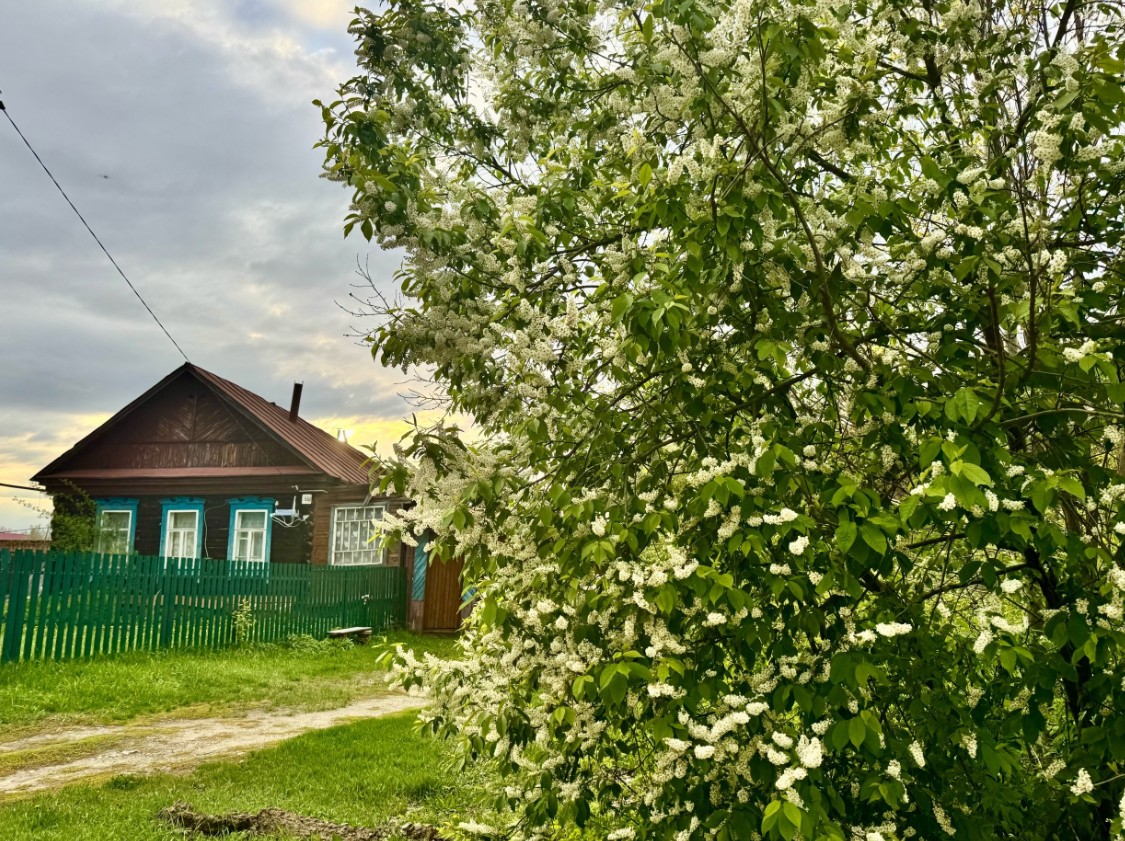 Загадочные белые грибы появились в лесах Пензенской области