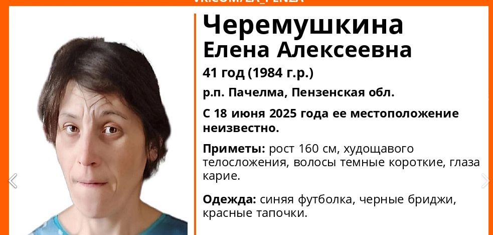 В Пензенской области ищут пропавшую в июне 41-летнюю Елену Черемушкину