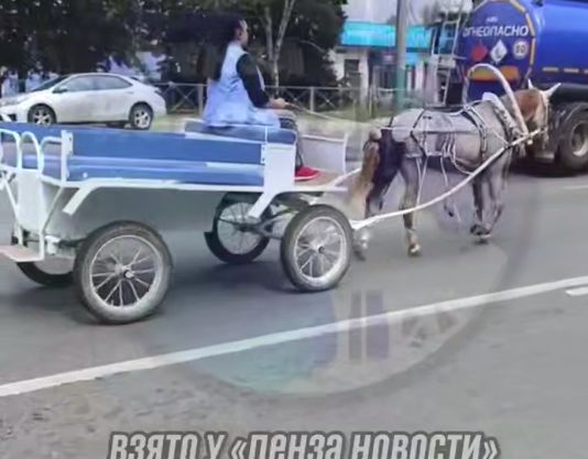 Лошадиная сила против цен на бензин: жительница Пензы пересела на повозку