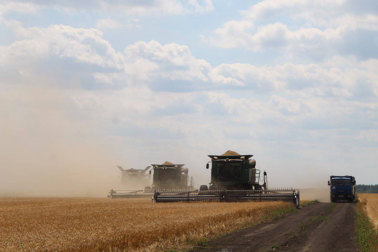 Олег Мельниченко: Пензенские аграрии собрали два миллиона тонн зерна