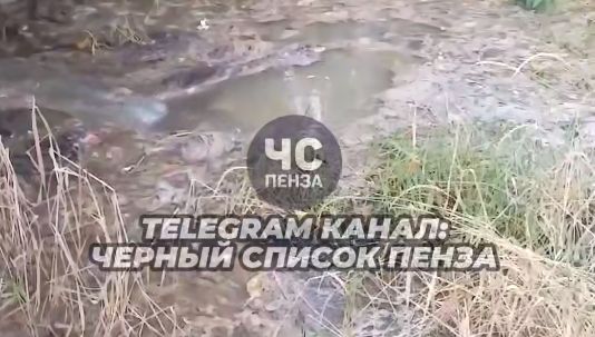 «Дышать невозможно!»: ручей в Заре загрязнен нечистотами