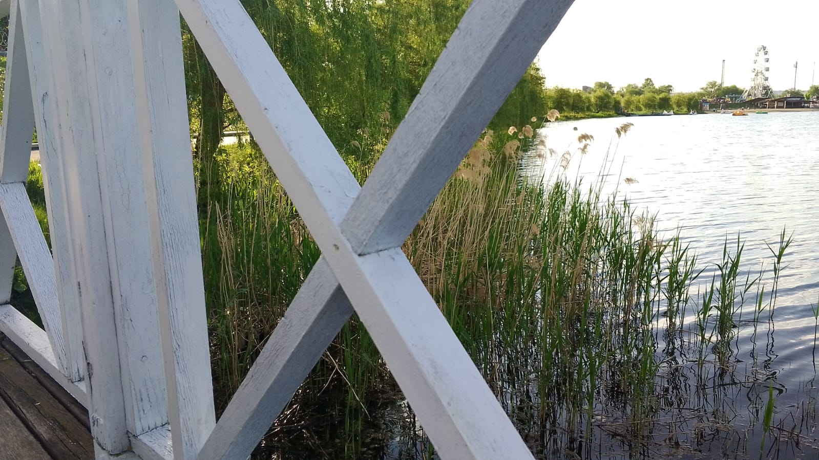 От гельминтов до гепатита: как не заразиться на пензенских пляжах