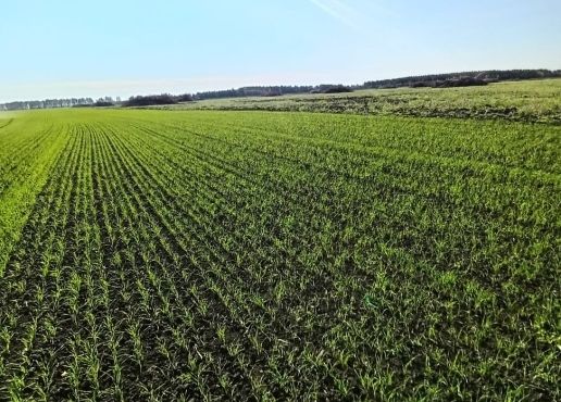 В Нижнеломовском районе компанию заставили ввести в севооборот 70 га земли