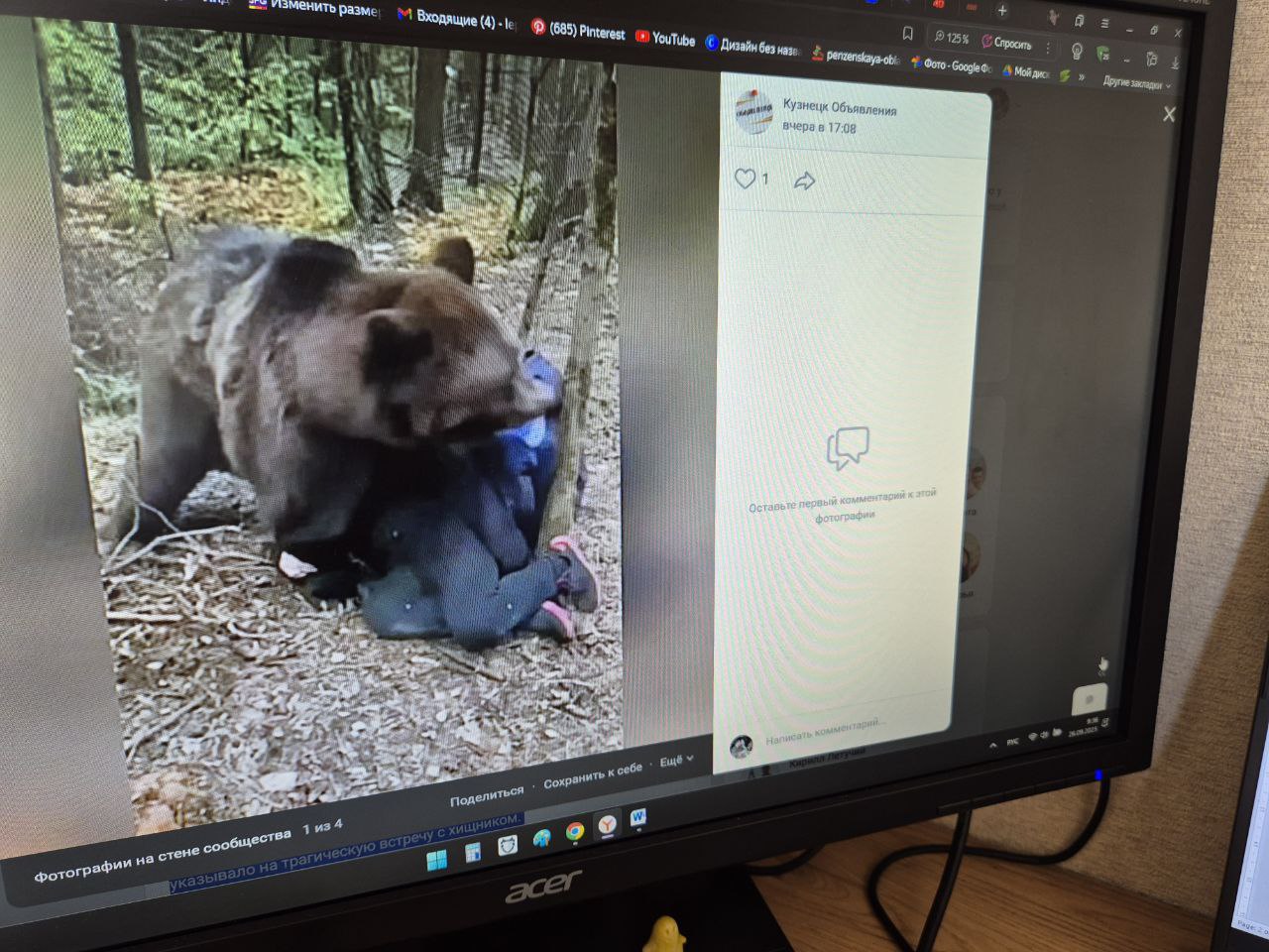 Соцсети: в Пензенской области медведь напал на пенсионера