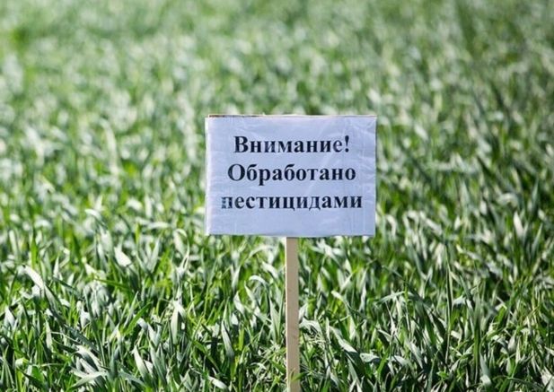 В Пензенской области агрофирма оштрафована за применение запрещенного пестицида