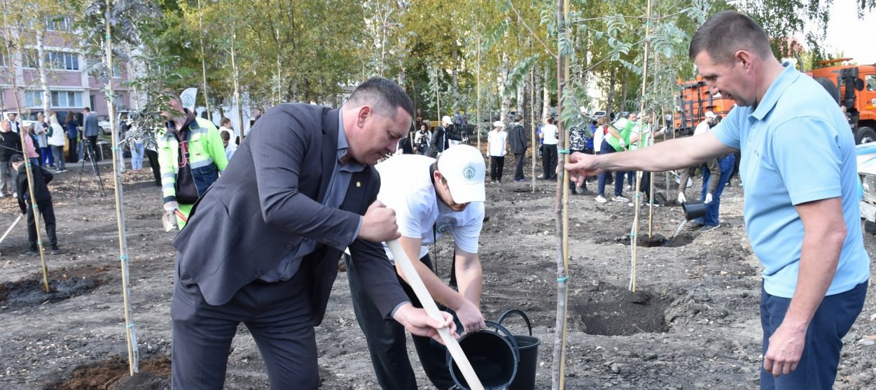 Новый сквер на Ново-Казанской украсили рябины, ели и каштаны