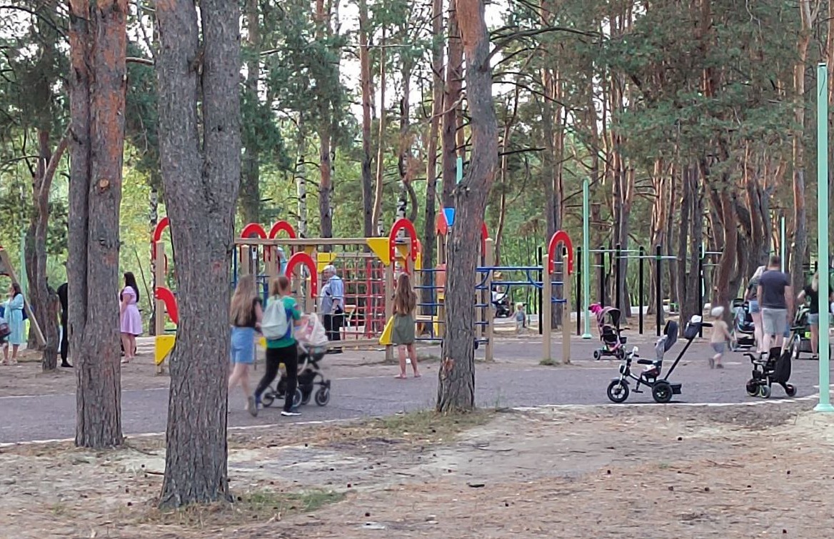 В пензенском сквере Семейный обещают обновить детскую площадку