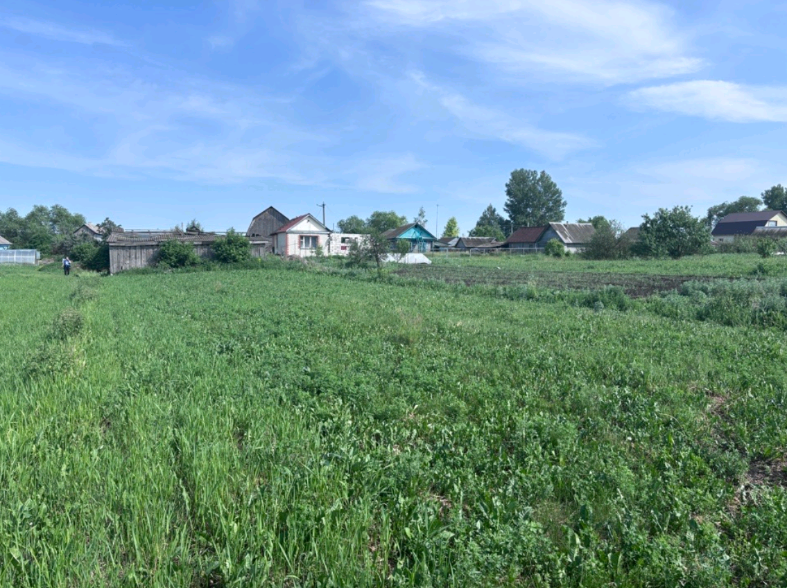 Газон стал яблоком раздора: в Бессоновке спор соседей дошел до суда