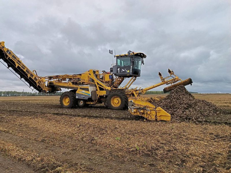 Лидерами уборочной кампании стали Каменский, Башмаковский и Земетчинский районы