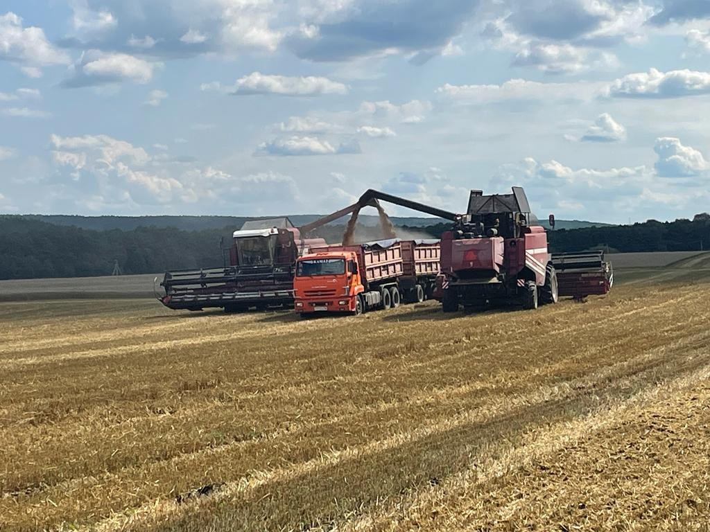 В Никольском районе уборку зерновых ведут на площади 5232 гектара