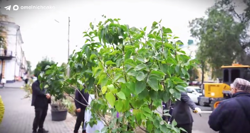 В Пензе высадили более 300 деревьев и кустарников