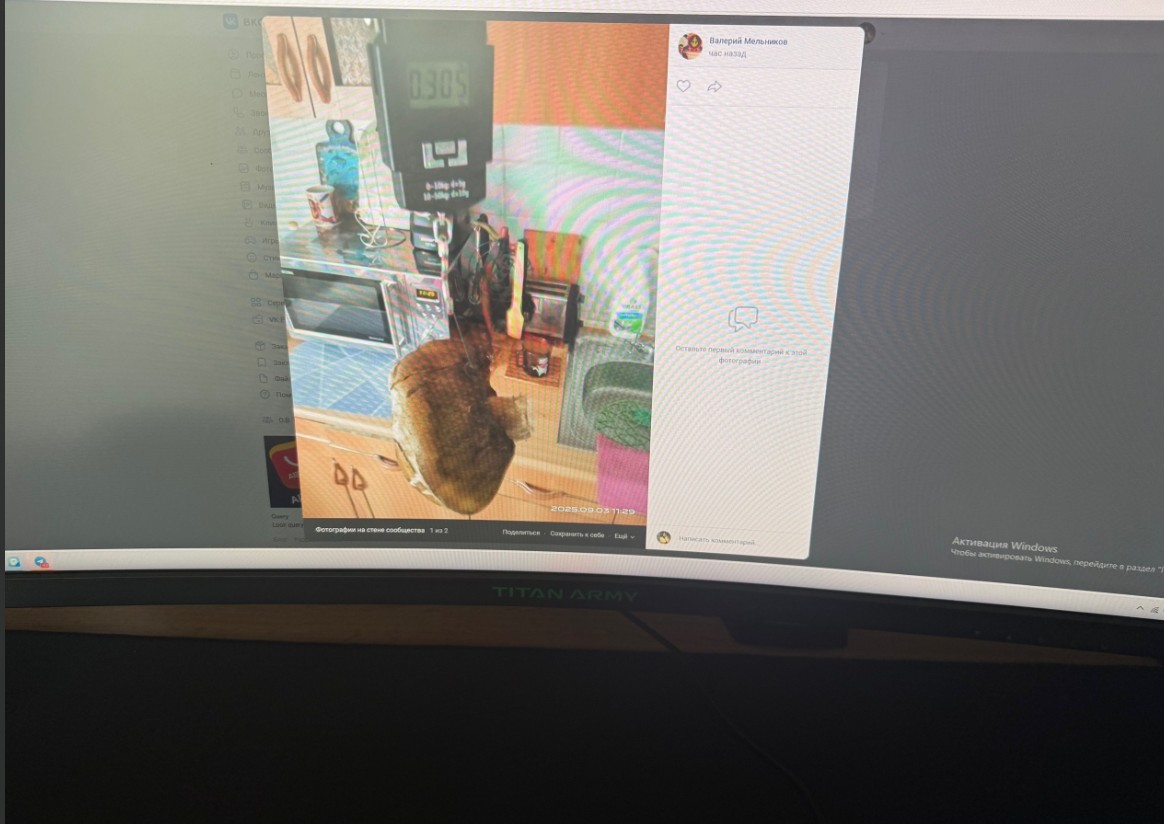 Пензенские грибники делятся трофеями тихой охоты: найден гигантский боровик