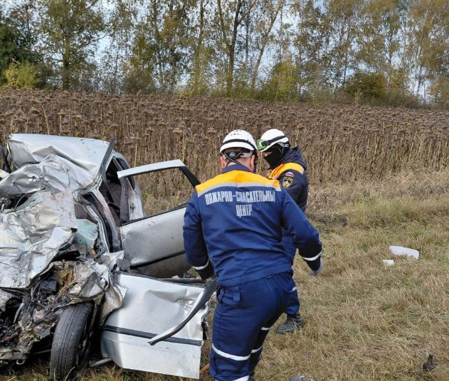 Спасатели деблокировали тела погибших в страшном ДТП на трассе М5