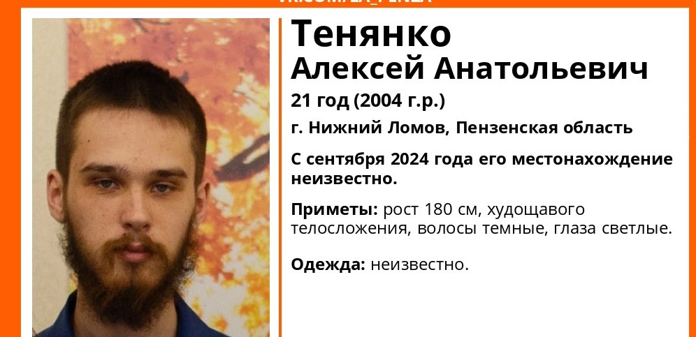 В Нижнем Ломове уже год разыскивают 21-летнего Алексея Тенянко