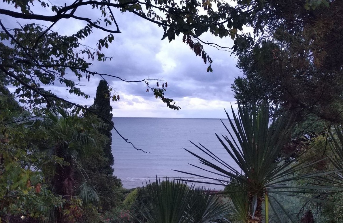 Пензенцы оценили стоимость посещения ресторанов в Сочи