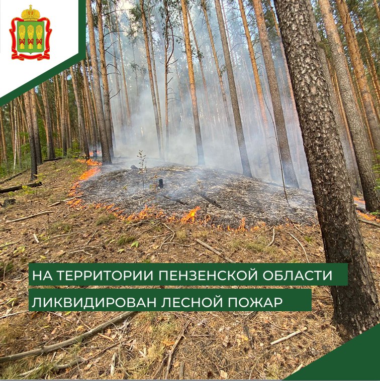 В Пензенской области ликвидирован лесной пожар в Чаадаевском лесничестве