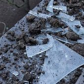 Жизнь под прицелом: как донецкая семья стала пензенской и чем закончится СВО