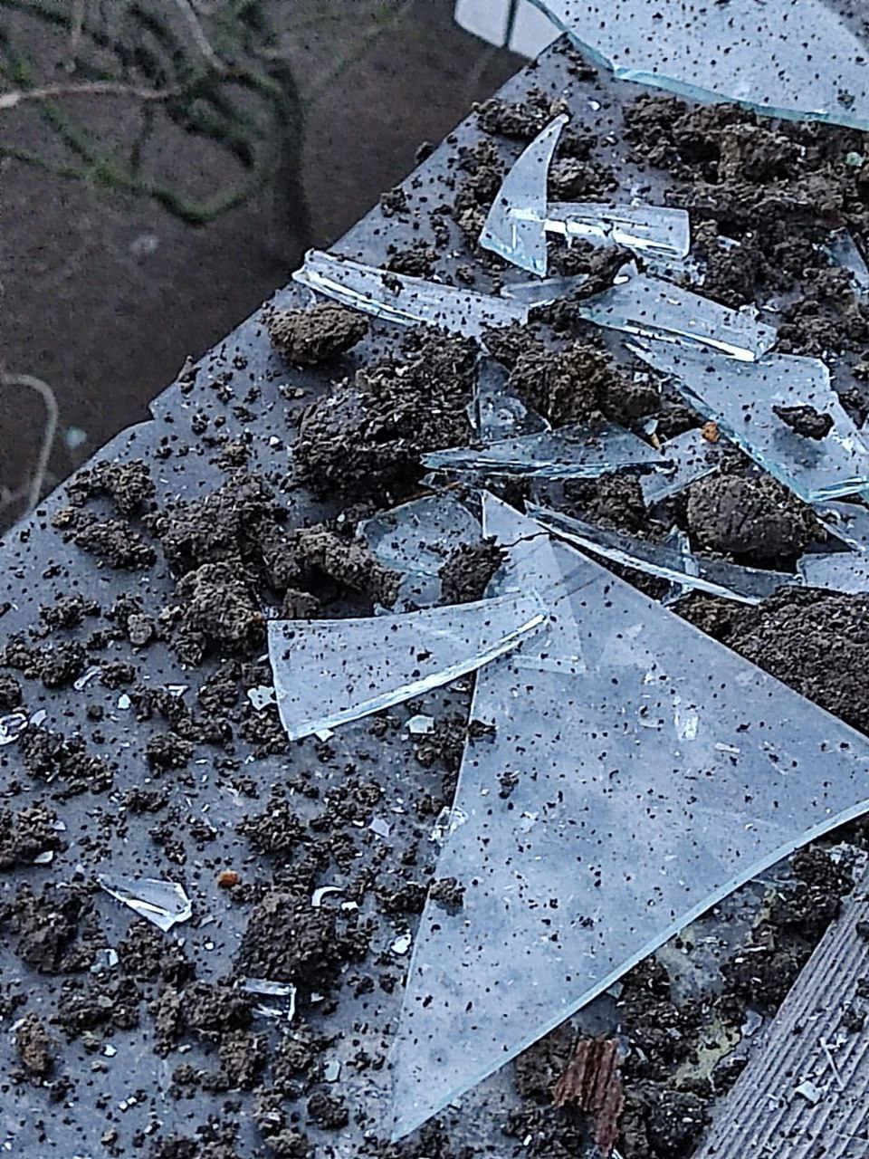 Жизнь под прицелом: как донецкая семья стала пензенской и чем закончится СВО