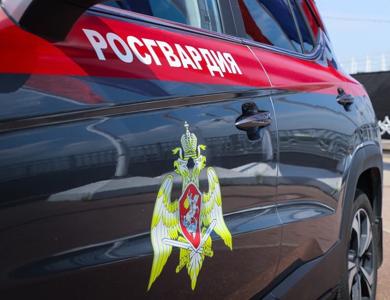 В Пензе Росгвардия задержала женщину, терроризировавшую соседей