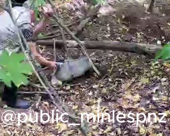 В Бессоновском районе предотвратили незаконную охоту на барсука