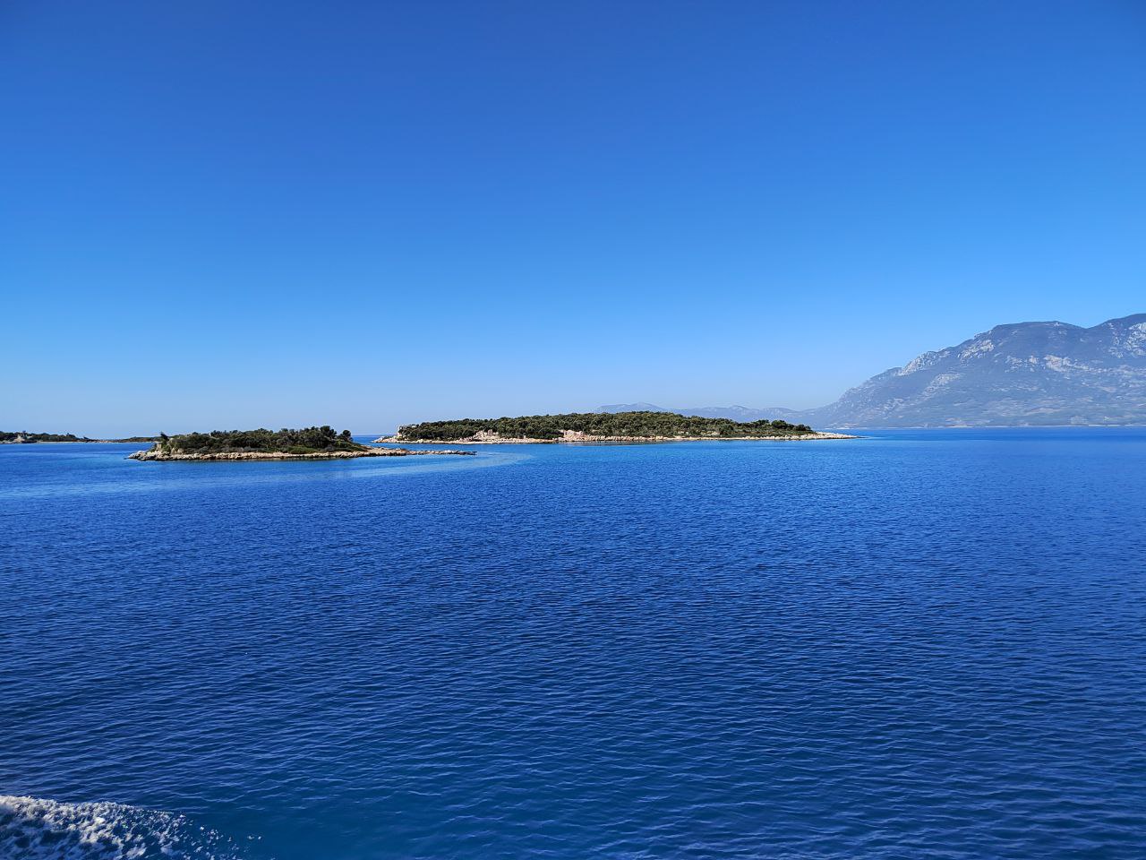 Акулы приближаются к пляжам на Мальдивах: туристы бьют тревогу